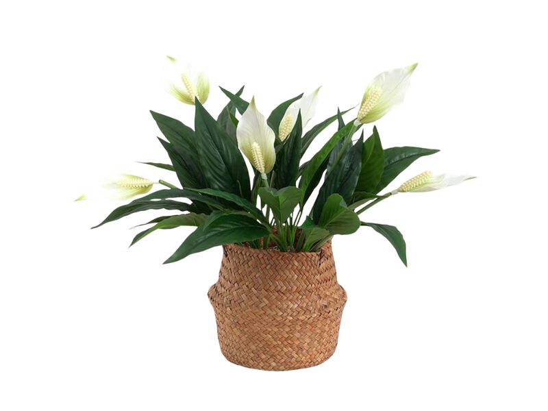 3 Piece White Artificial Lily Flowers Garden Porch Decor image number 0