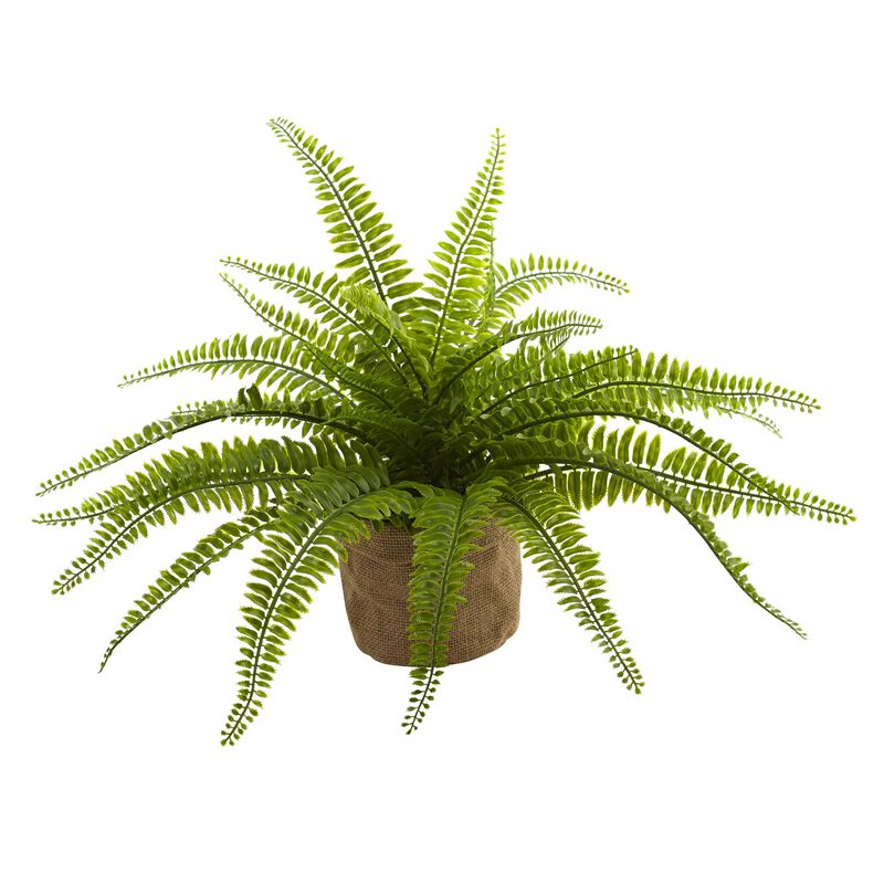 Hivvago Boston Fern w/Burlap Planter (Set of 2)
