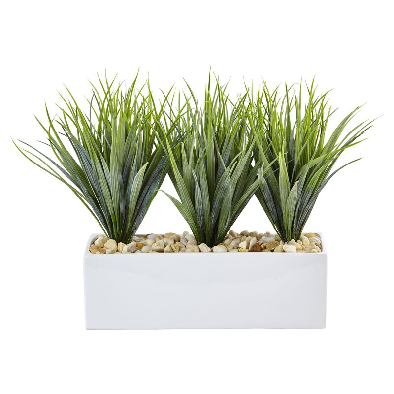 Hivvago Vanilla Grass in Rectangular Planter
