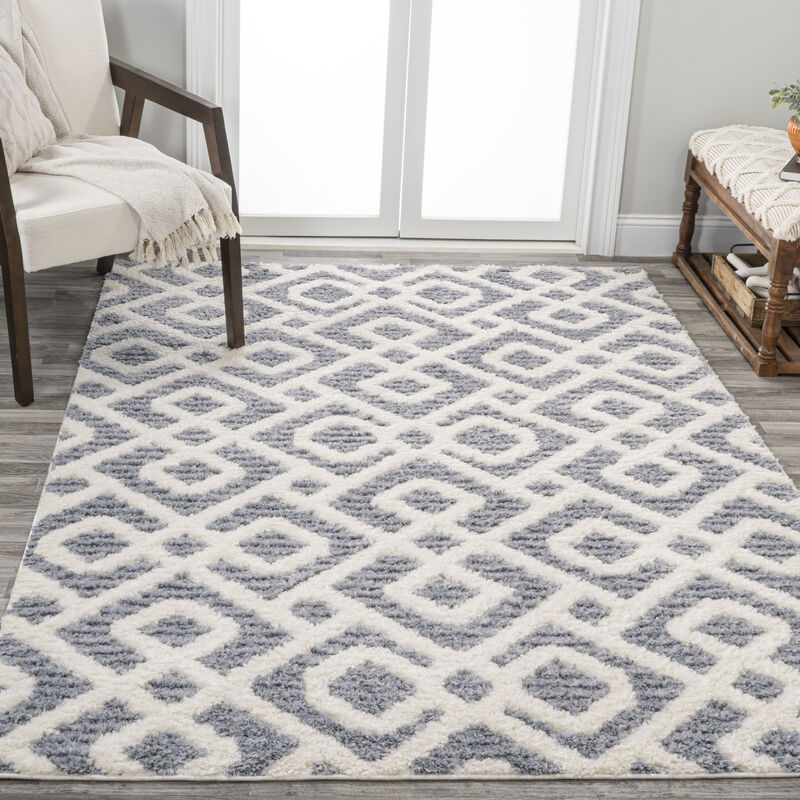 Astrid Retro Trellis High-Low Area Rug