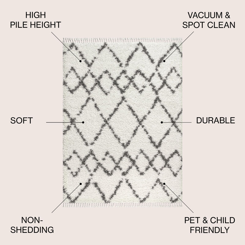 Mercer Shag Plush Tassel Moroccan Tribal Geometric Trellis Area Rug