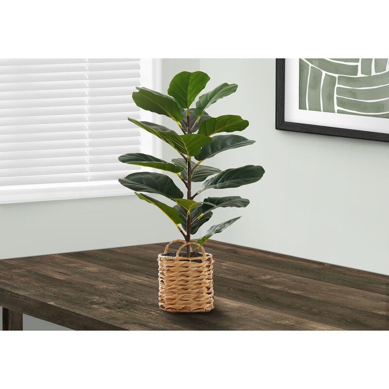 Monarch Specialties I 9505 - Artificial Plant, 28" Tall, Fiddle Tree, Indoor, Faux, Fake, Floor, Greenery, Potted, Real Touch, Decorative, Green Leaves, Beige Woven Basket image number 1