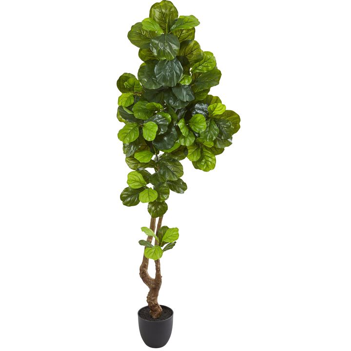 HomPlanti 78 Inches Fiddle Leaf Artificial Tree (Real Touch)