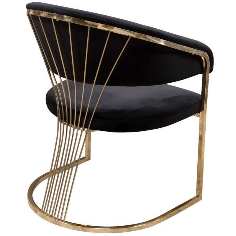 Emy 26 Inch Cantilever Barrel Dining Chair, Black Velvet Upholstery, Gold - Benzara