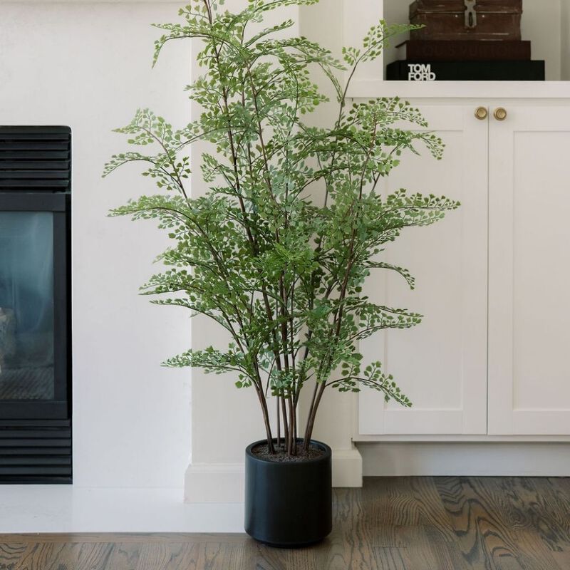Faux Maidenhair Fern image number 3