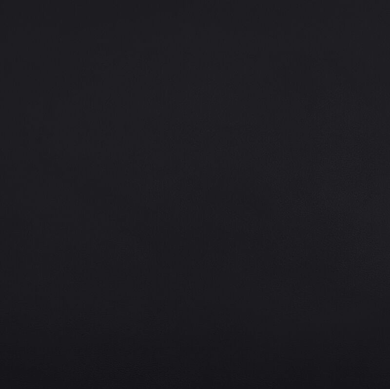 Meridian Furniture Rumble Black Vegan Leather Bench