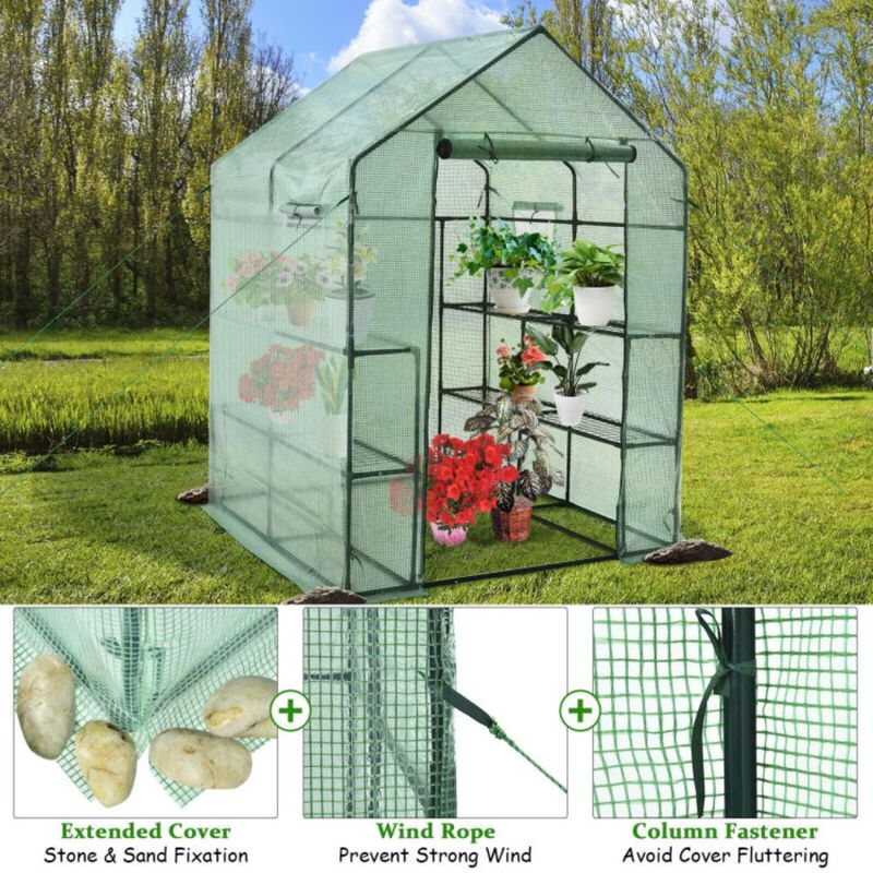 Hivvago Walk-in Greenhouse 56 x 56 x 77 Inch Gardening with Observation Windows