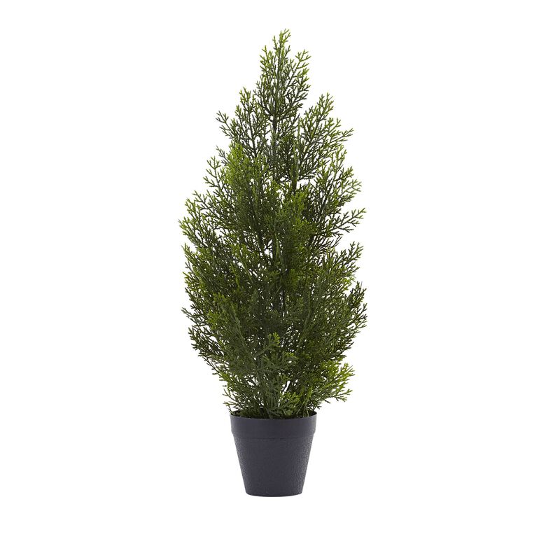 Hivvago 2 Feet Mini Cedar Pine Tree (Indoor/Outdoor)