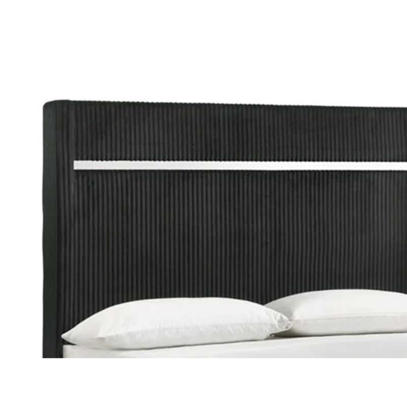 Geny King Size Bed w Channel Tufted Headboard, Silver Trim, Black