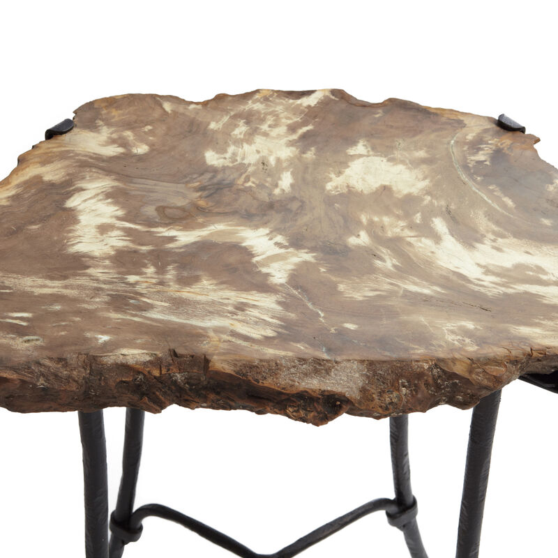 Interiors Petrified Side Table