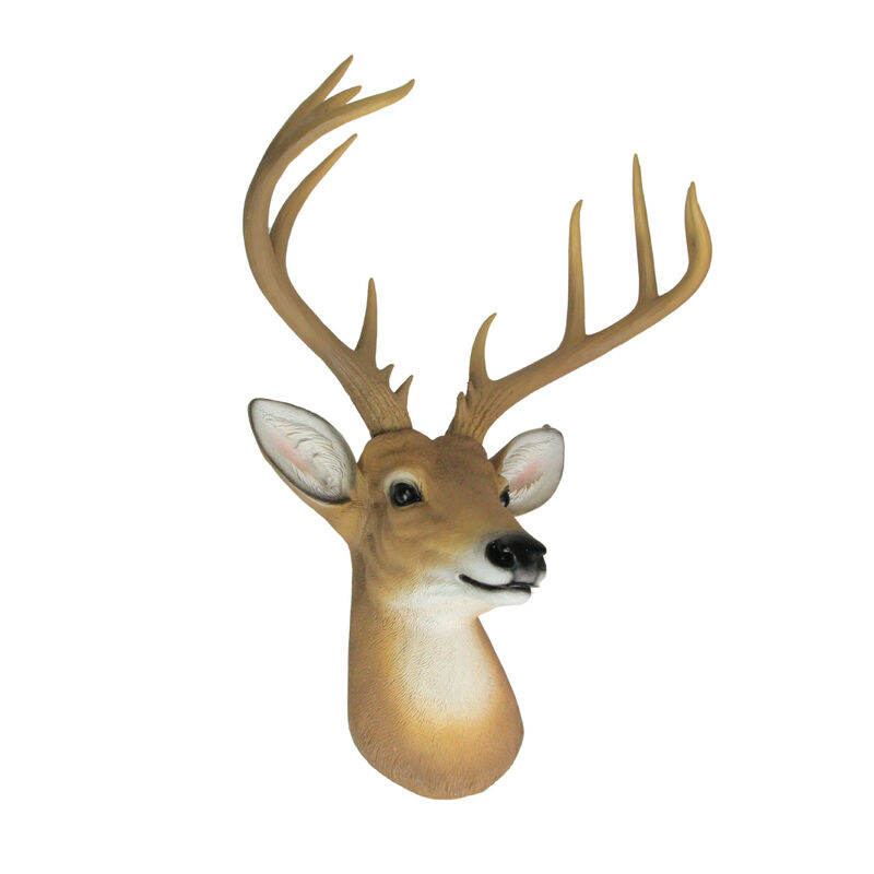 12 Point Buck Deer Head Bust Wall Hanging image number 1