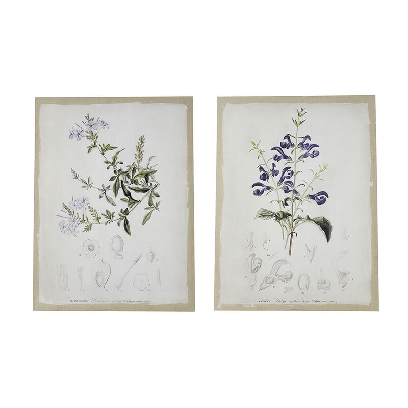 24 x 32 Set of 2 Framed Wall Art Prints, Floral, Modern White and Black image number 0