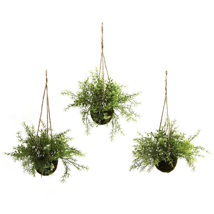 Nearly Natural Ruscus, Sedum & Springeri Hanging Basket (Set of 3)