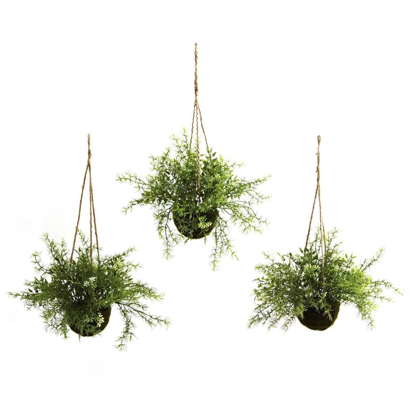 Nearly Natural Ruscus, Sedum & Springeri Hanging Basket (Set of 3)