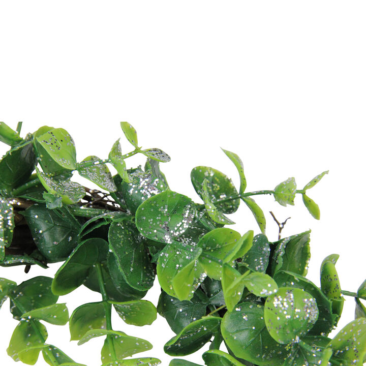 Sparkling Silver and Green Grass Decorative Artificial Christmas Wreath - 8.75-Inch  Unlit