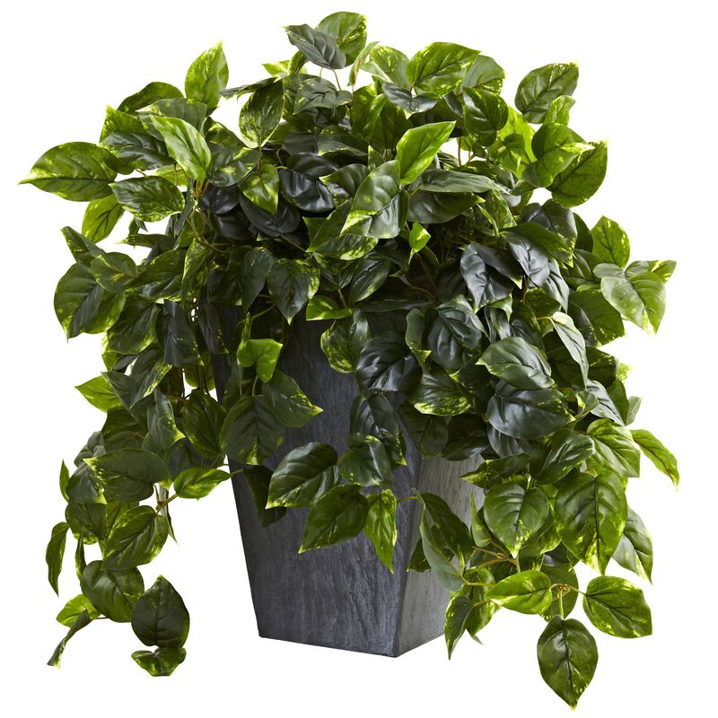 Hivvago Hanging Pothos w/Slate Planter UV Resistant (Indoor/Outdoor)