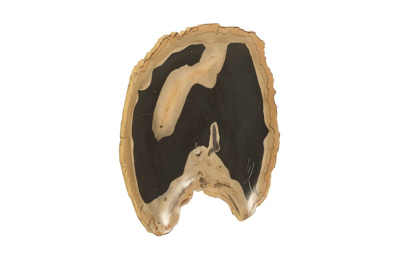 Cast Petrified Wood Thin Wall Tile