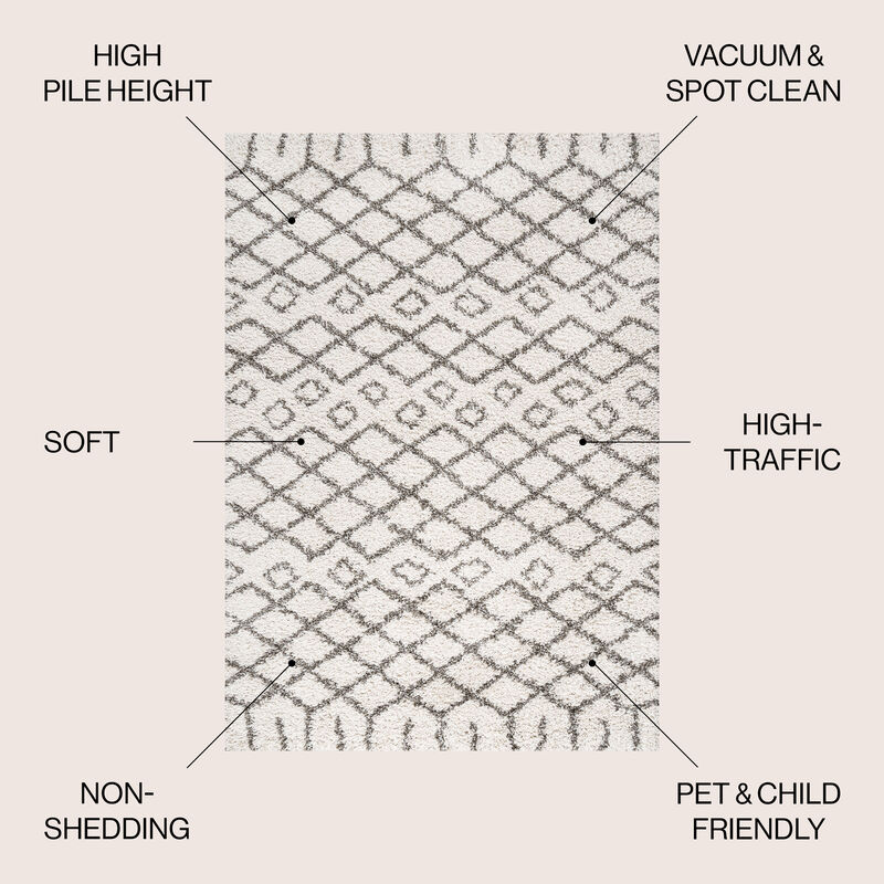 Algaida Moroccan Diamond Shag Area Rug