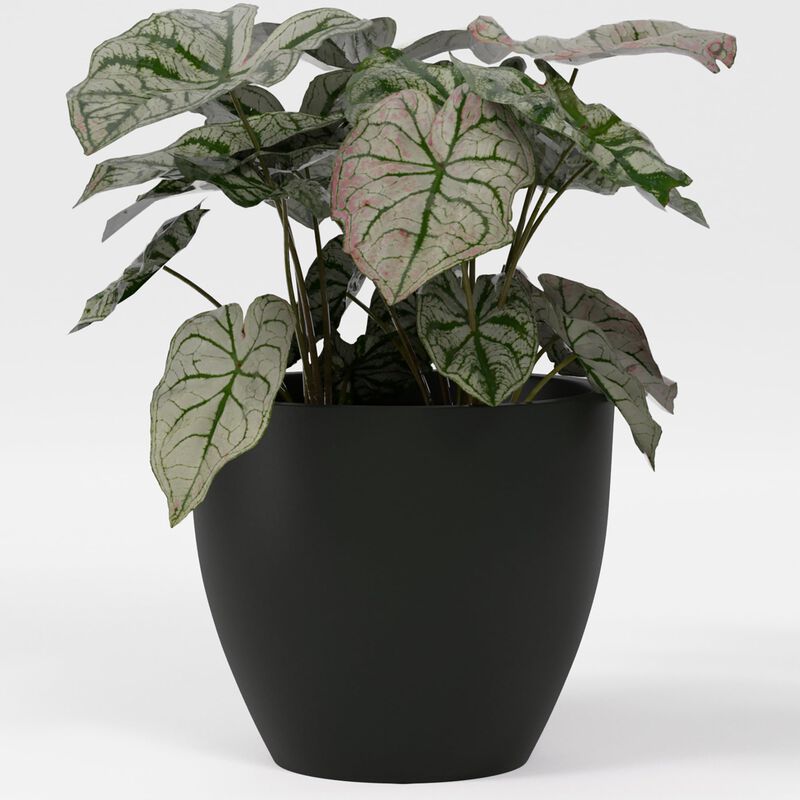 Greenline Fiberglass Lucy Large Indoor/Outdoor Round Planter.