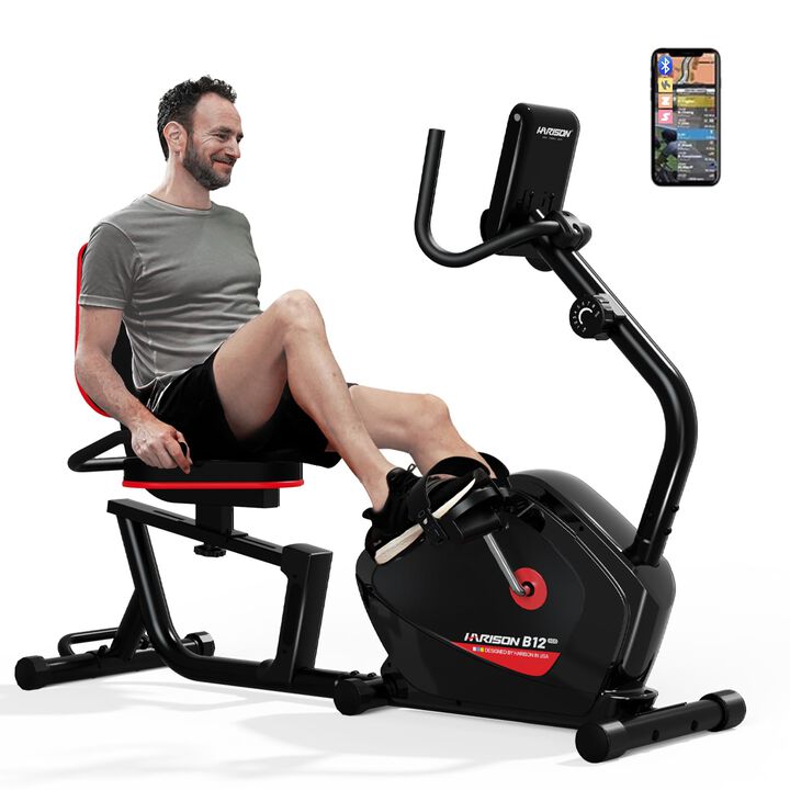 HARISON Recumbent Exercise Bike, 400 lb, Quiet Magnetic Resistance, LCD Monitor, Adjustable Seat (HR-B12)