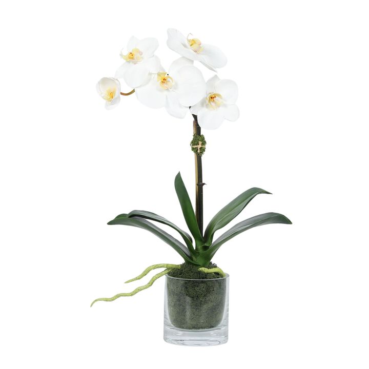 Faux Orchid Plant in Glass Vase
