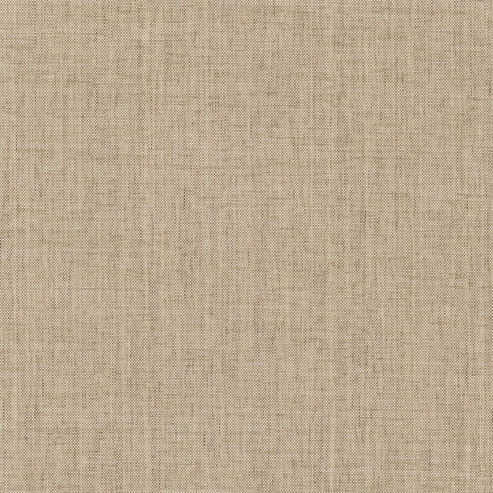Edo Paperweave Mushroom Wallpaper