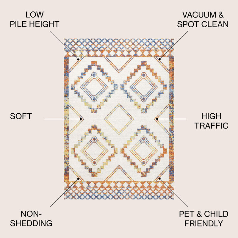 Amir Moroccan Beni Souk Area Rug