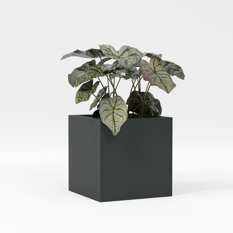 Greenline Fiberglass Jack Square Cube Planter - Indoor/Outdoor Large Fiberglass Lightweight Planter.