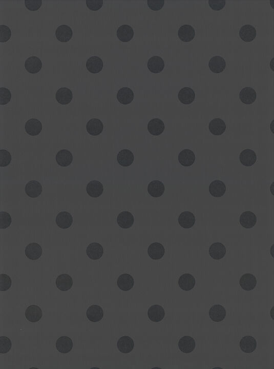 Debra Grey Matte Polka Dot Wallpaper