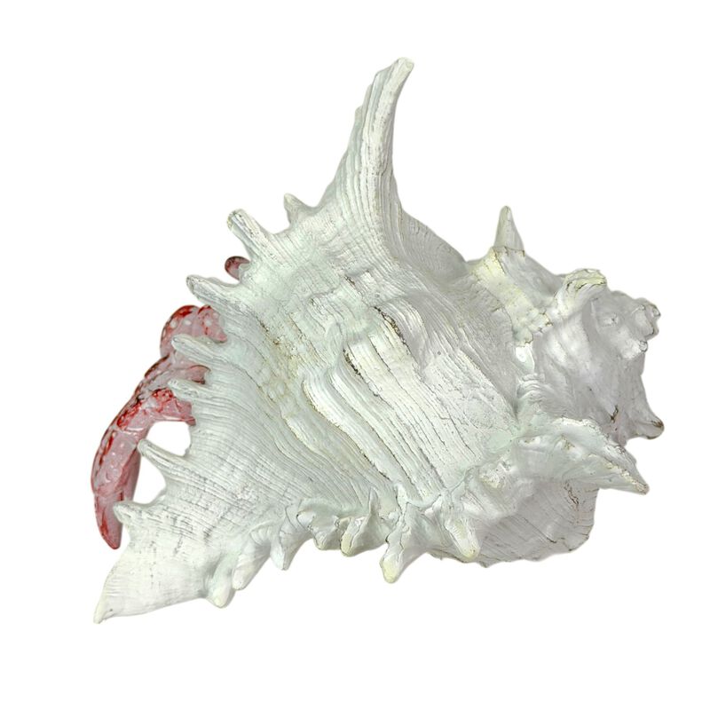 Resin Hermit Crab Statue Red Whitewashed Shell Coastal Figurine 525 In image number 2