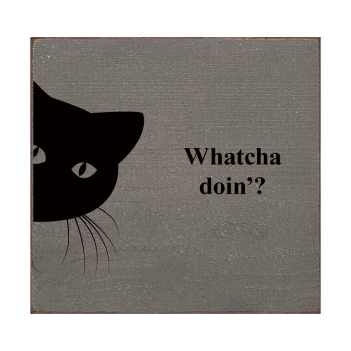 Funny Cat Wooden Sign Cute Cat Wall Decor Gift for Cat Lovers
