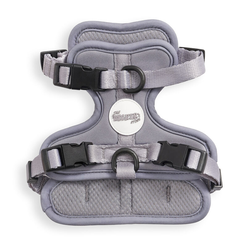 Arlo Adjustable Soft Padded No Pull Pet Harness with 3 Buckles and 3 Leash Clips