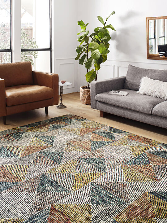 Spectrum SPE01 3'6" x 5'6" Rug