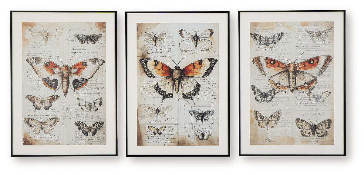 Jossletts Butterfly Wall Art (Set of 3)