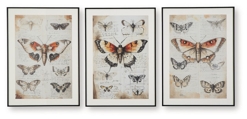 Jossletts Butterfly Wall Art (Set of 3) image number 0