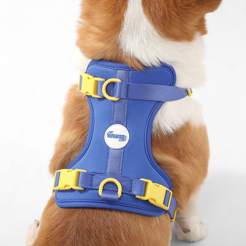 Arlo Adjustable Soft Padded No Pull Pet Harness with 3 Buckles and 3 Leash Clips
