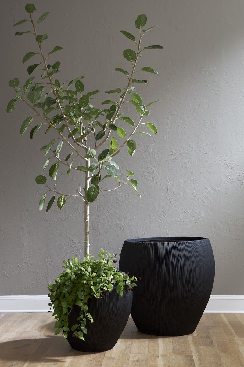 Filament Medium Planter in Black