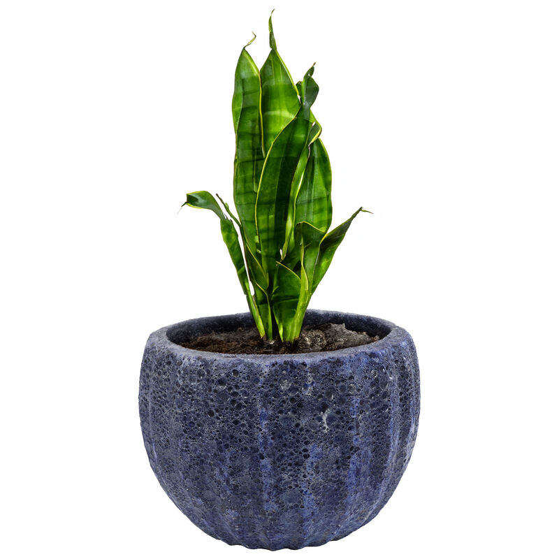 Sunnydaze 13.5" Fluted Lava Finish Ceramic Planter - Dark Blue