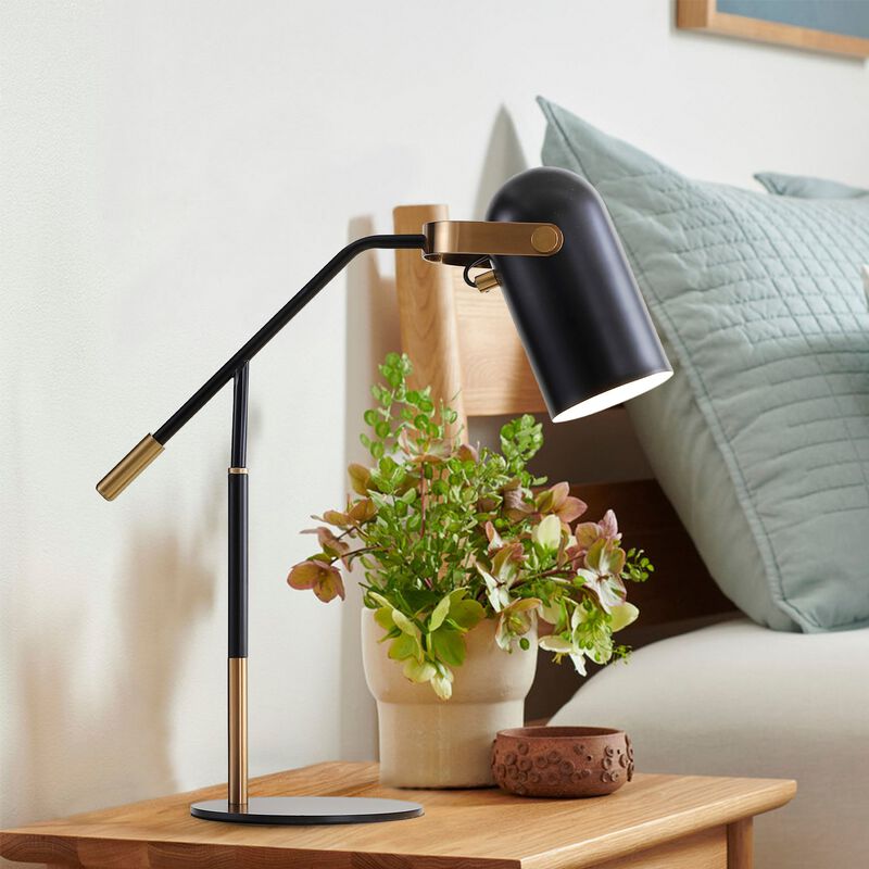 Edison Metal LED Task Lamp