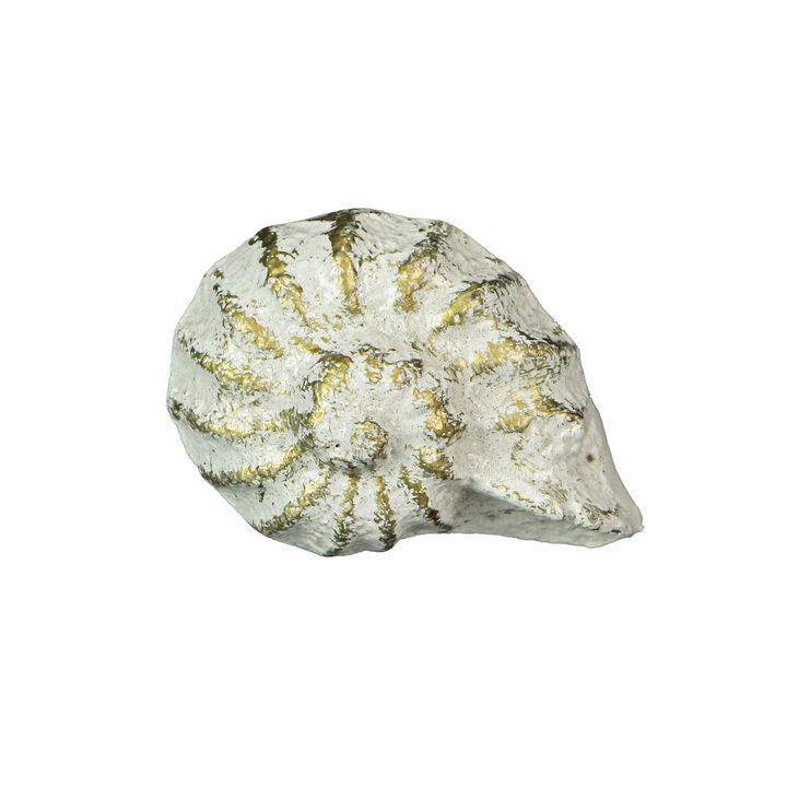 Set of 6 Rustic Antique White Finish Cast Iron Nautilus Shell Drawer Pulls - 2 Inches Long - Nautical Seashell Cabinet Knobs for a Coastal Home Decor Touch