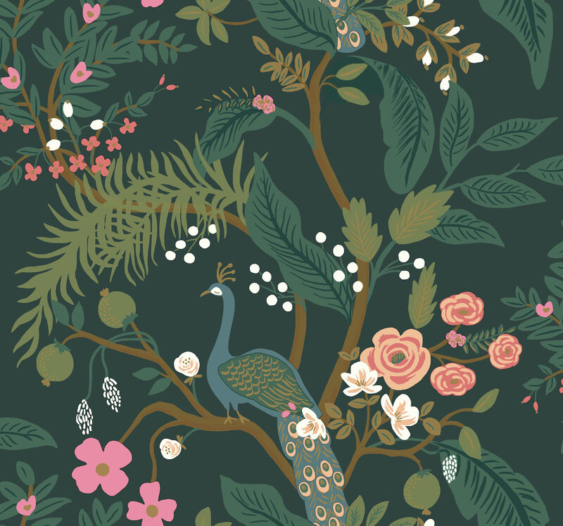 Peacock Rifle Paper Co. Wallpaper image number 2