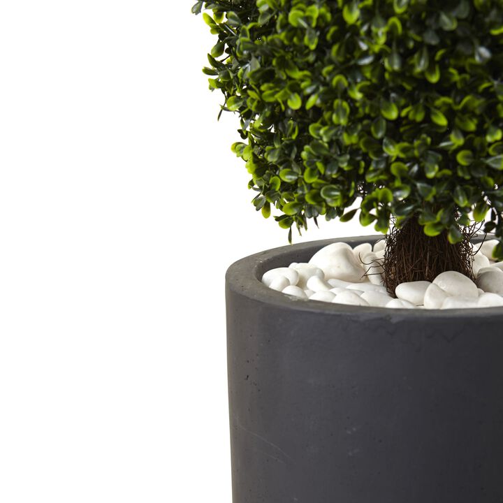 HomPlanti 50 Inches Boxwood Topiary with Gray Cylindrical Planter UV Resistant (Indoor/Outdoor)