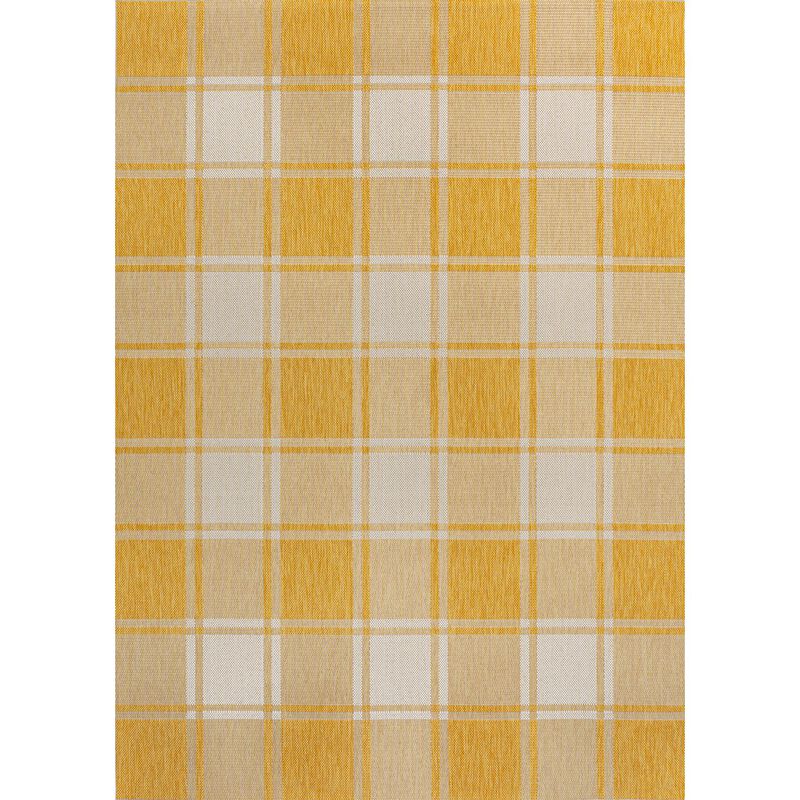 Sabine Traditional Farmhouse Bold Gingham Indoor/Outdoor Area Rug