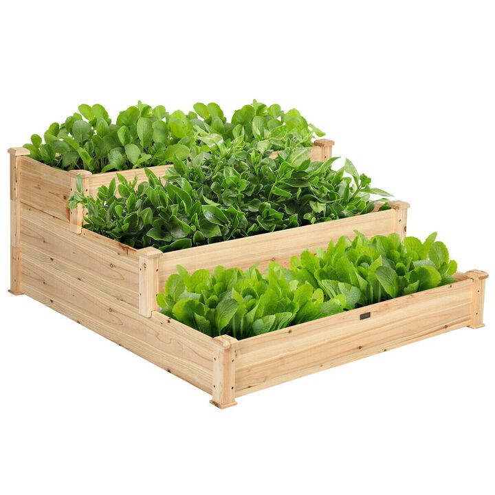 3 Tier Elevated Wooden Garden Bed for Vegetables, Herbs and Flowers