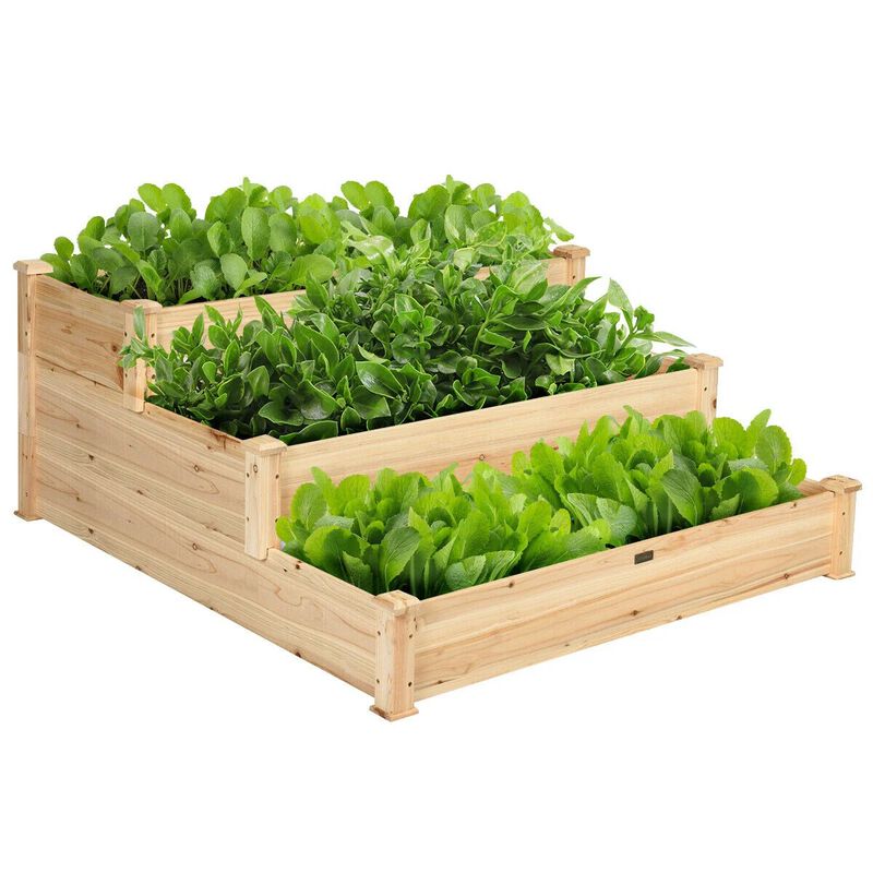 3 Tier Elevated Wooden Garden Bed for Vegetables, Herbs and Flowers image number 0