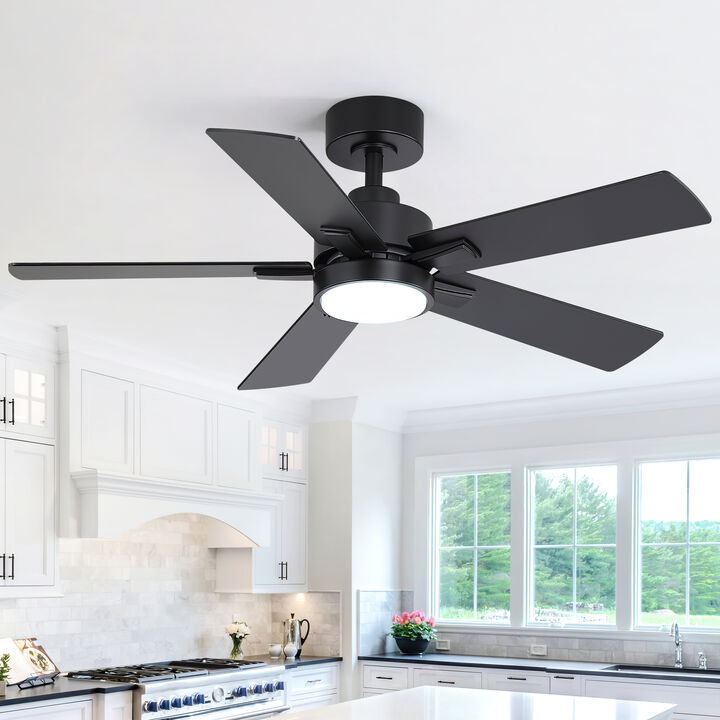 Breezary 42" Ceiling Fan with LED Light, 5 Reversible Blades, 6 Speeds, Remote
