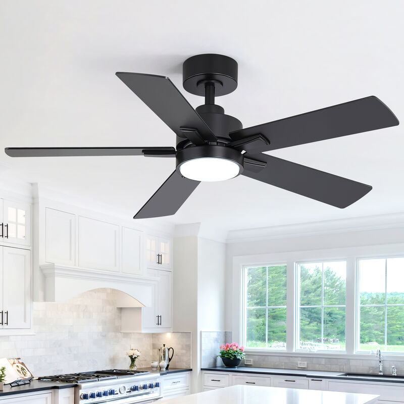 Breezary 42" Ceiling Fan with LED Light, 5 Reversible Blades, 6 Speeds, Remote image number 1