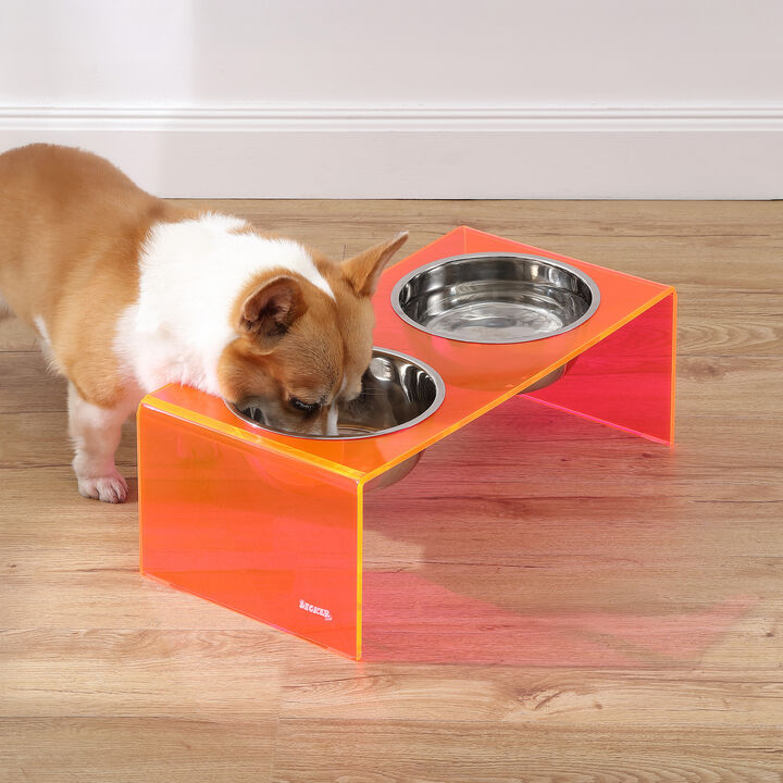 Keaton Modern Acrylic Rectangular Elevated Pet Feeder with Stainless Steel Bowls