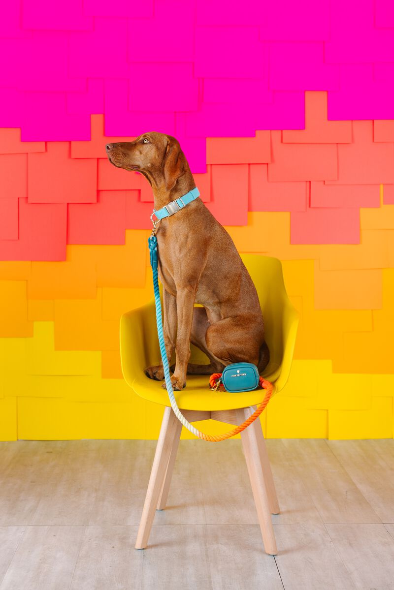 Beau Rope Dog Leash image number 1