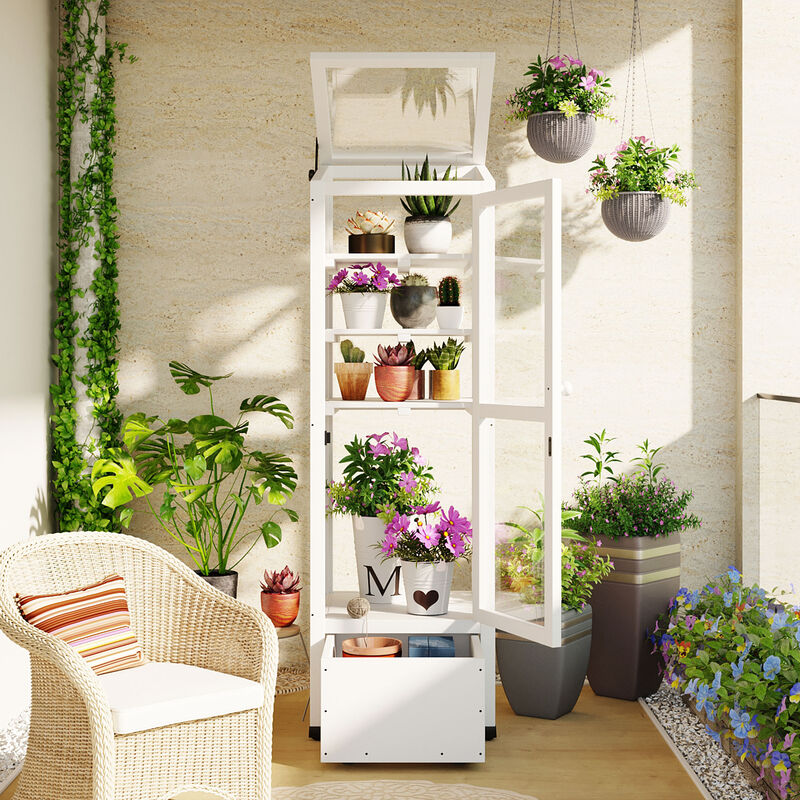 Wood Garden Greenhouse with Portable Cold Frame, Movable Storage & Adjustable Shelves